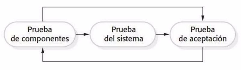 Etapas de la prueba